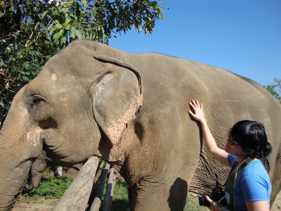 A picture of Emiko with an elephant